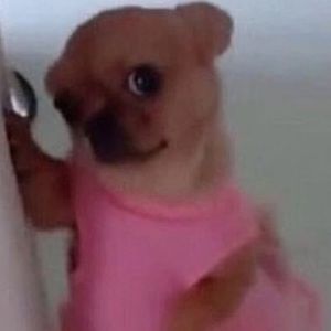 Meet your Posher, Ivanna